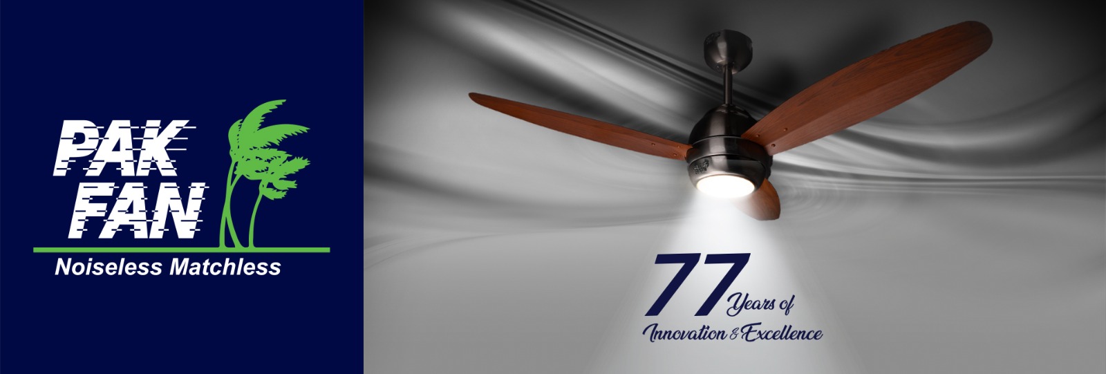 Website Banner (Elegance Light Fan)